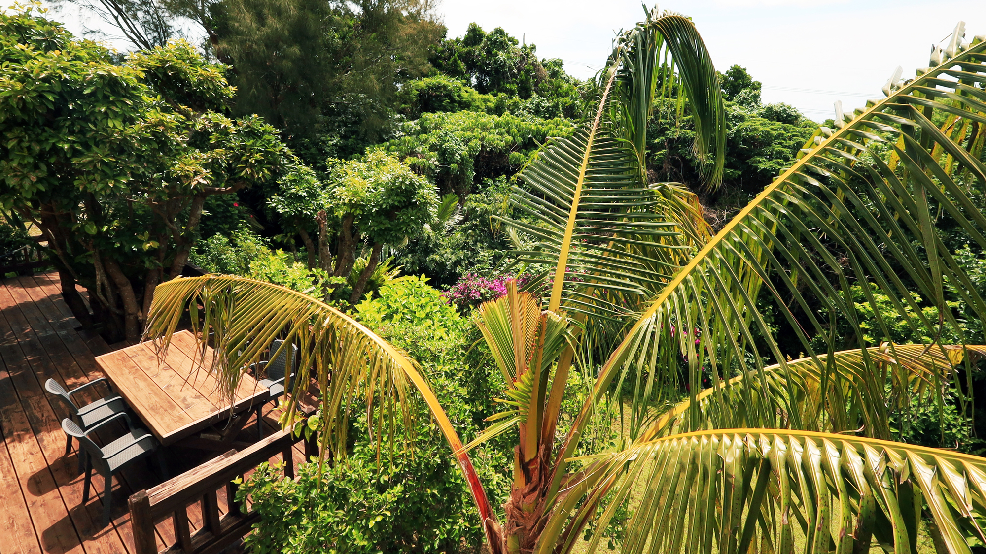 【外観】自然いっぱいのカーチバイへようこそ！*