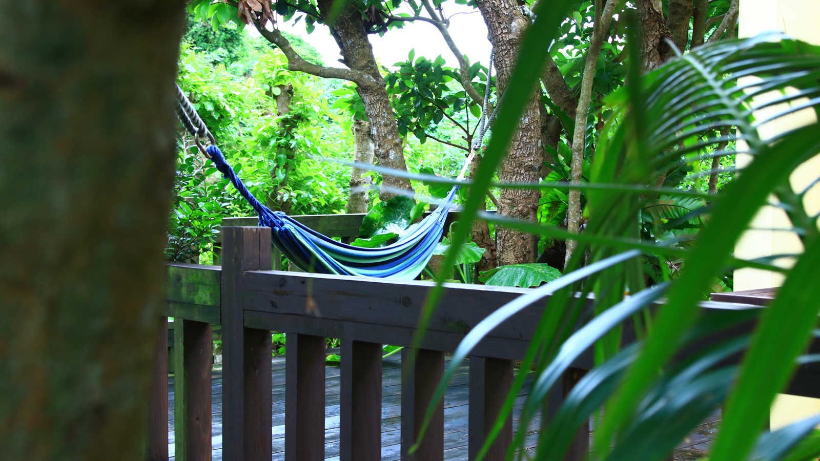 ハンモックに揺られながら自然と流れる時間を*