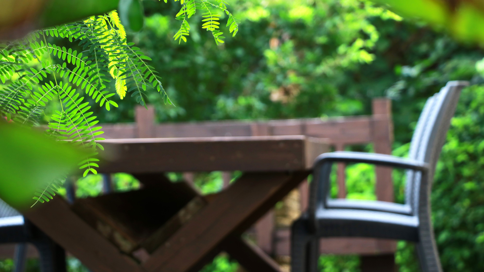 緑に囲まれた隠れ家的コテージ*