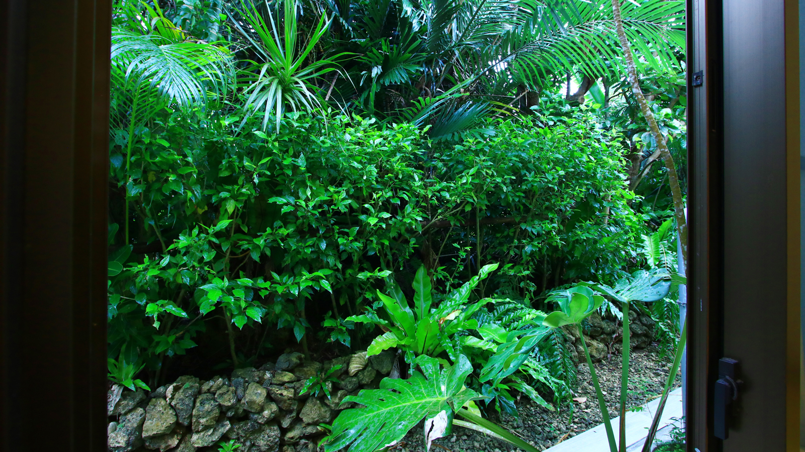 和室からの景観*