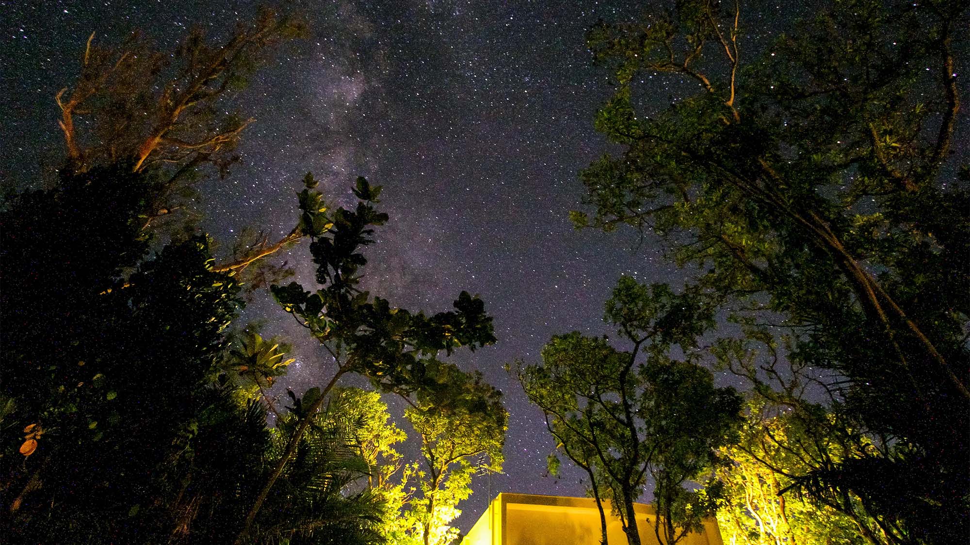 ・月のない夜には満天の星空を見ることができます