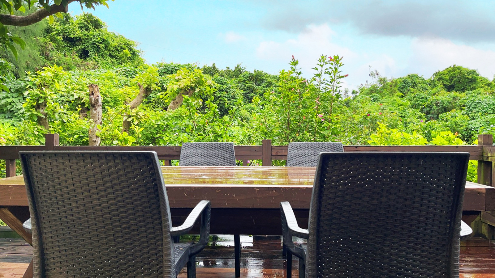 ウッドデッキ *