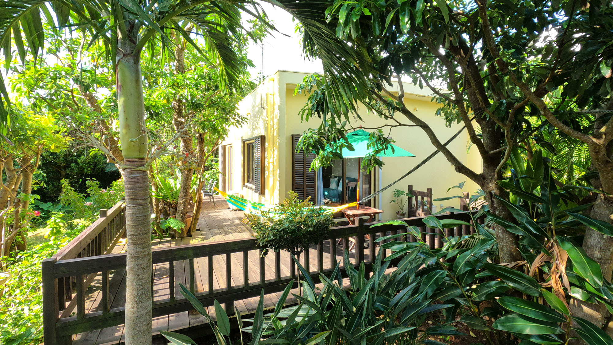 周りの木々が日々の喧騒を癒します*