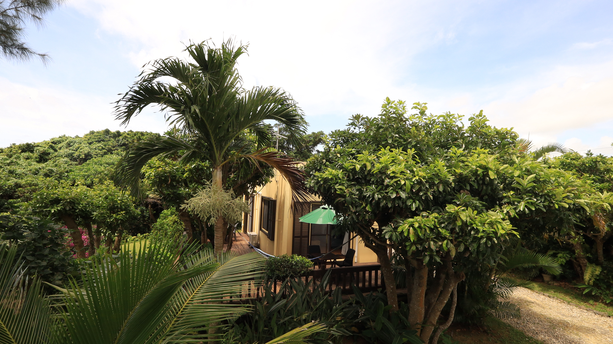 【外観】南国の木々に囲まれた、大人の秘密基地です*