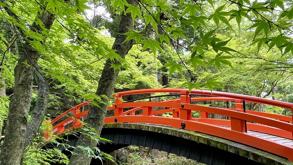 【日~木曜限定】《出張・平日旅行》ビュッフェ朝食＆ポイント10倍♪ 駅チカでアクセス◎《楽天限定》