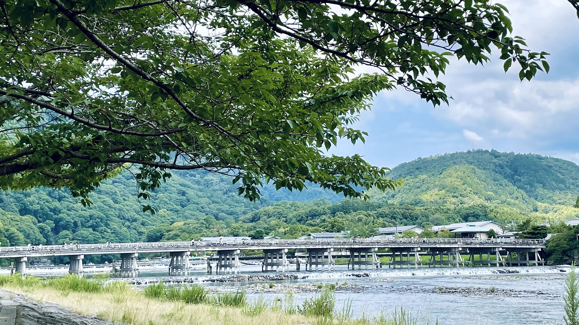 渡月橋