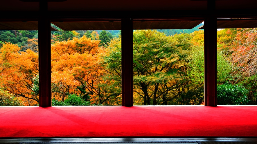 高山寺