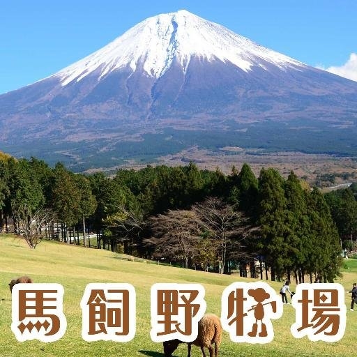(券は別売り）【レジャー施設をお得価格で！】「まかいの牧場」入場券が特別価格で購入できます♪