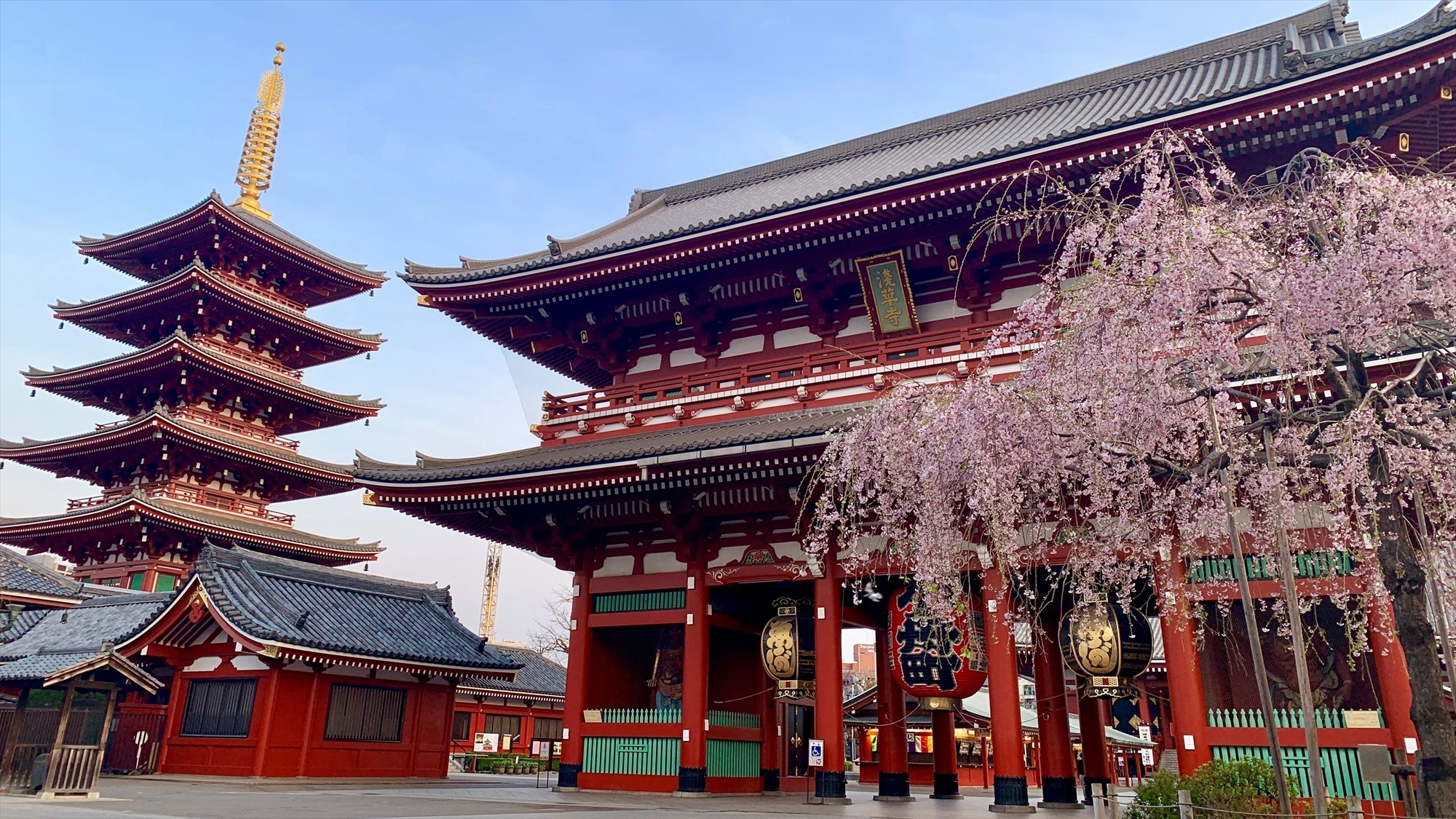 宝蔵門と五重塔（枝垂桜）