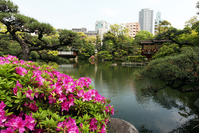 写真2