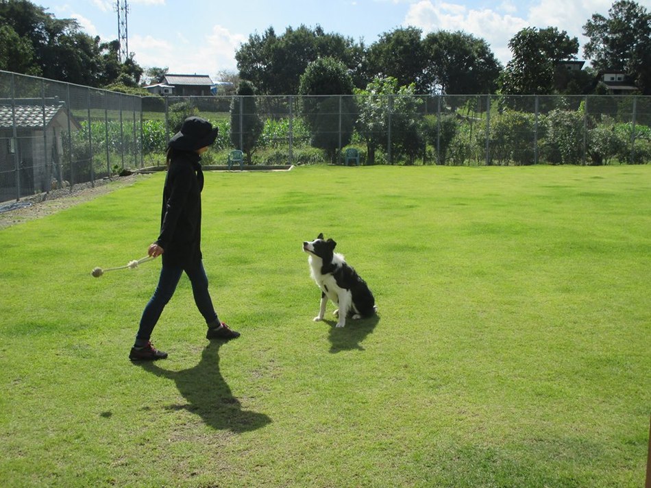 【素泊まり】一日中遊べるドッグラン満喫プラン