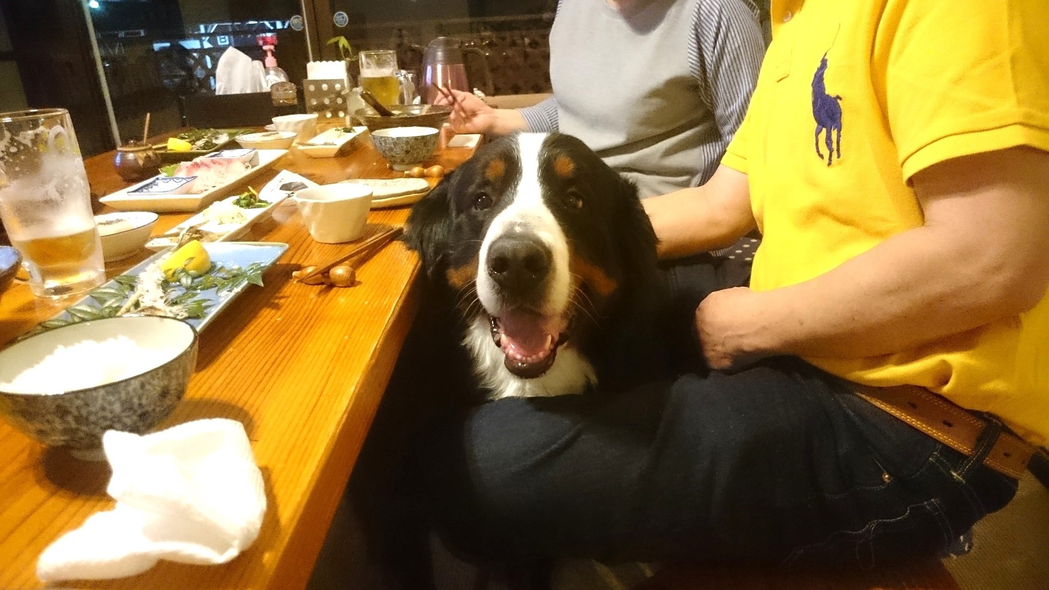 【二食付き】球磨の恵みプラン 