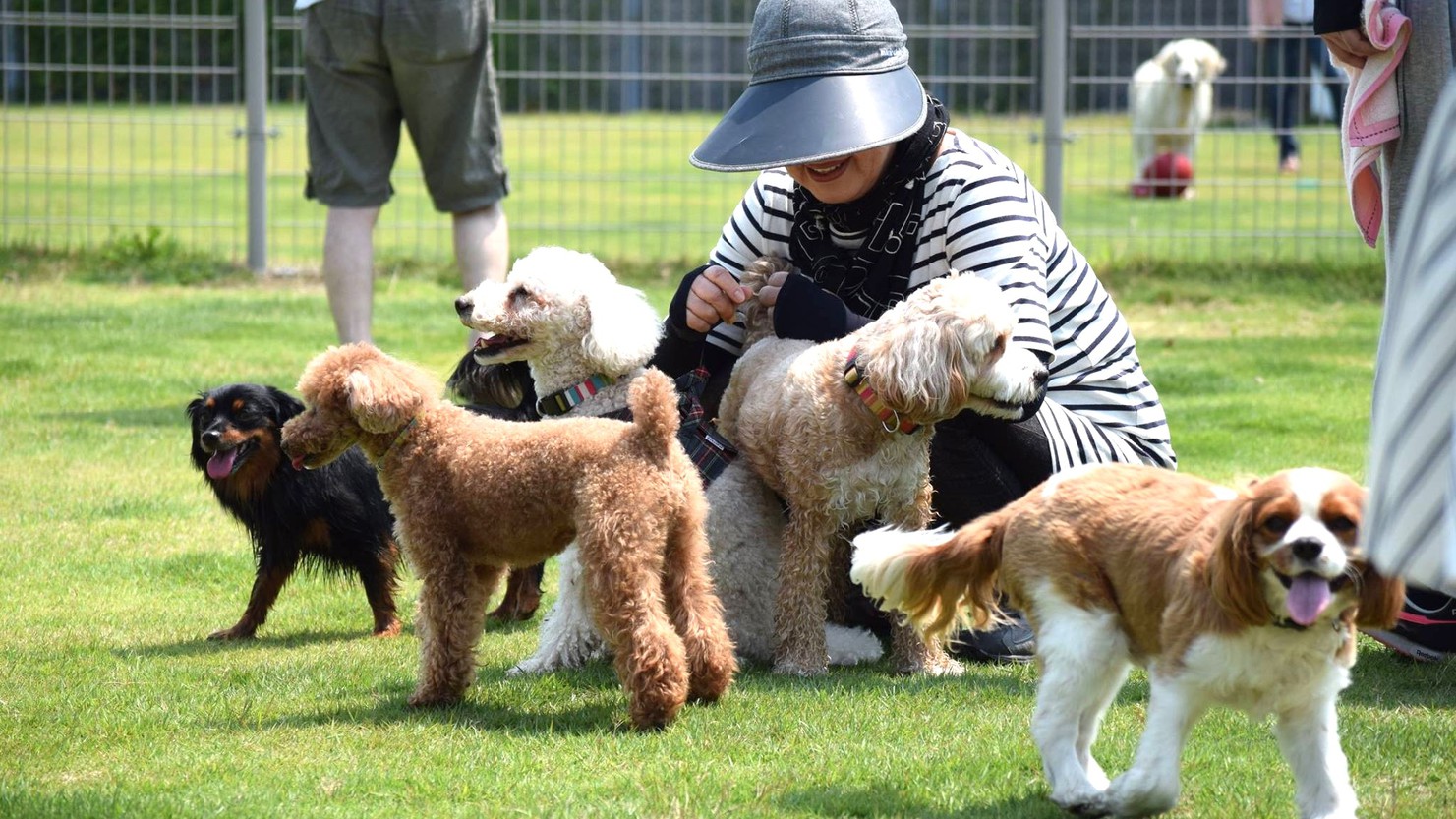 【素泊まり】一日中遊べるドッグラン満喫プラン