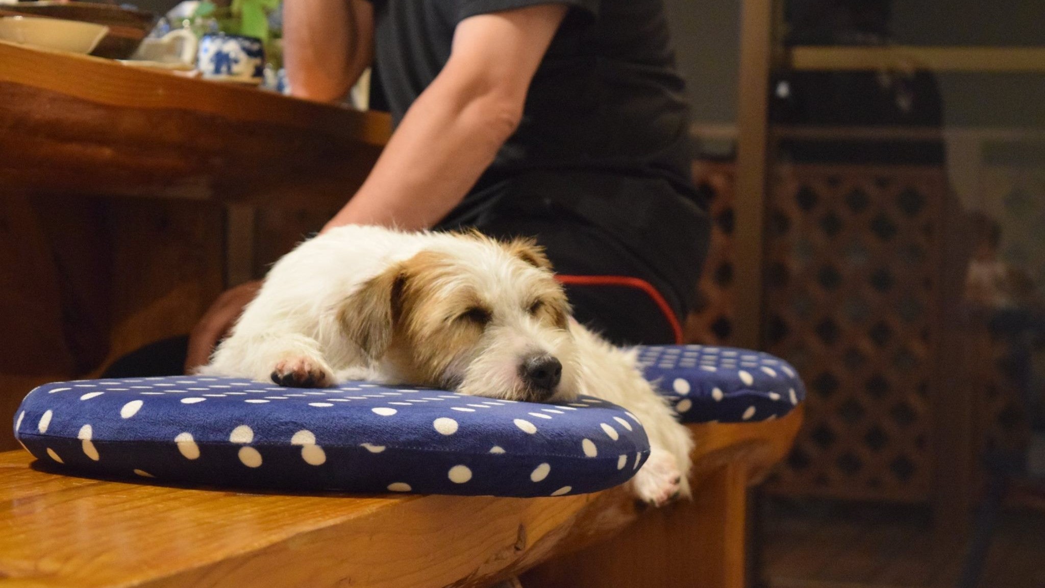 【二食付き】球磨の恵みプラン 