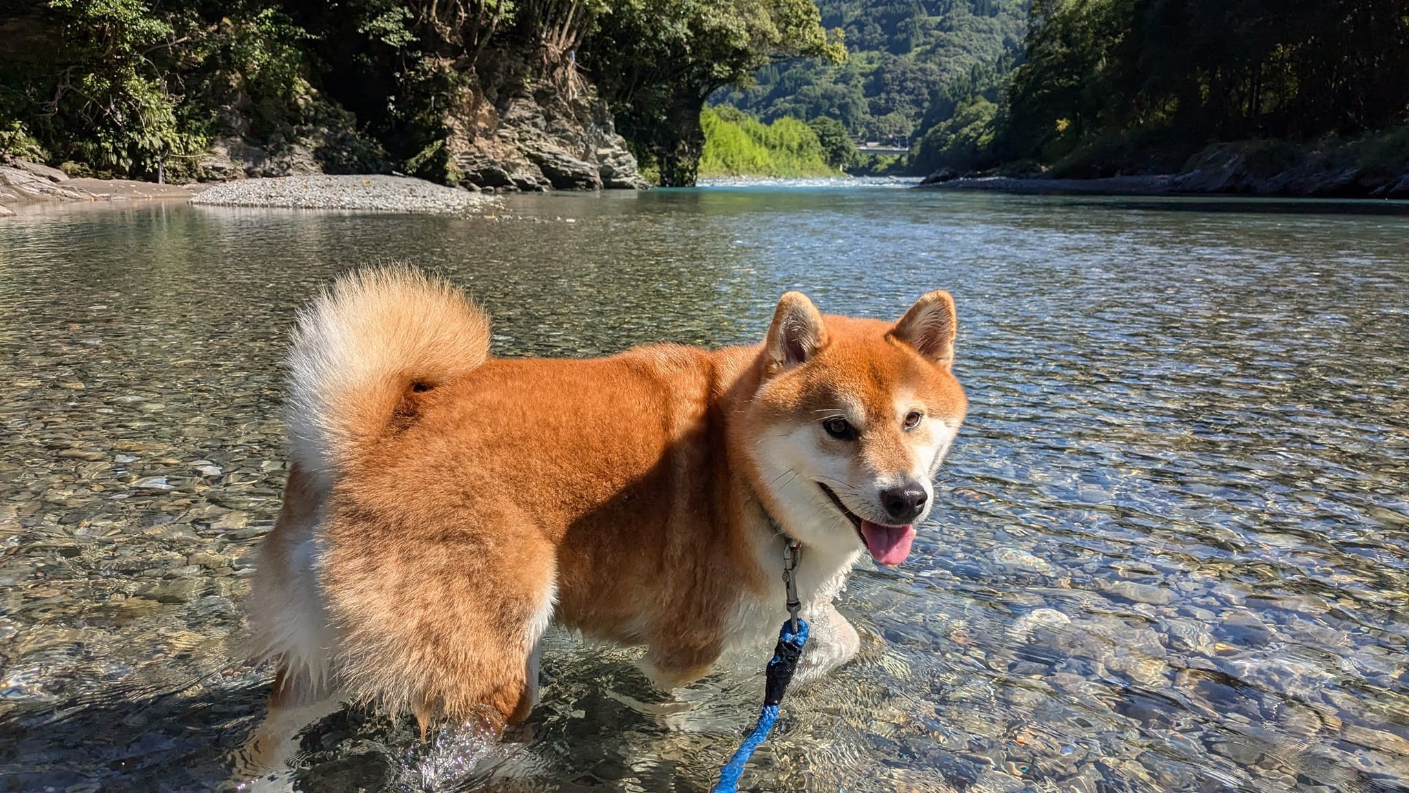 水質日本一の清流　川辺川