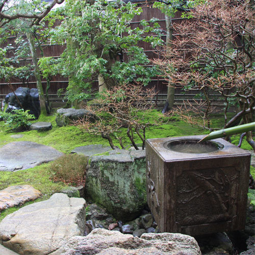 garden
