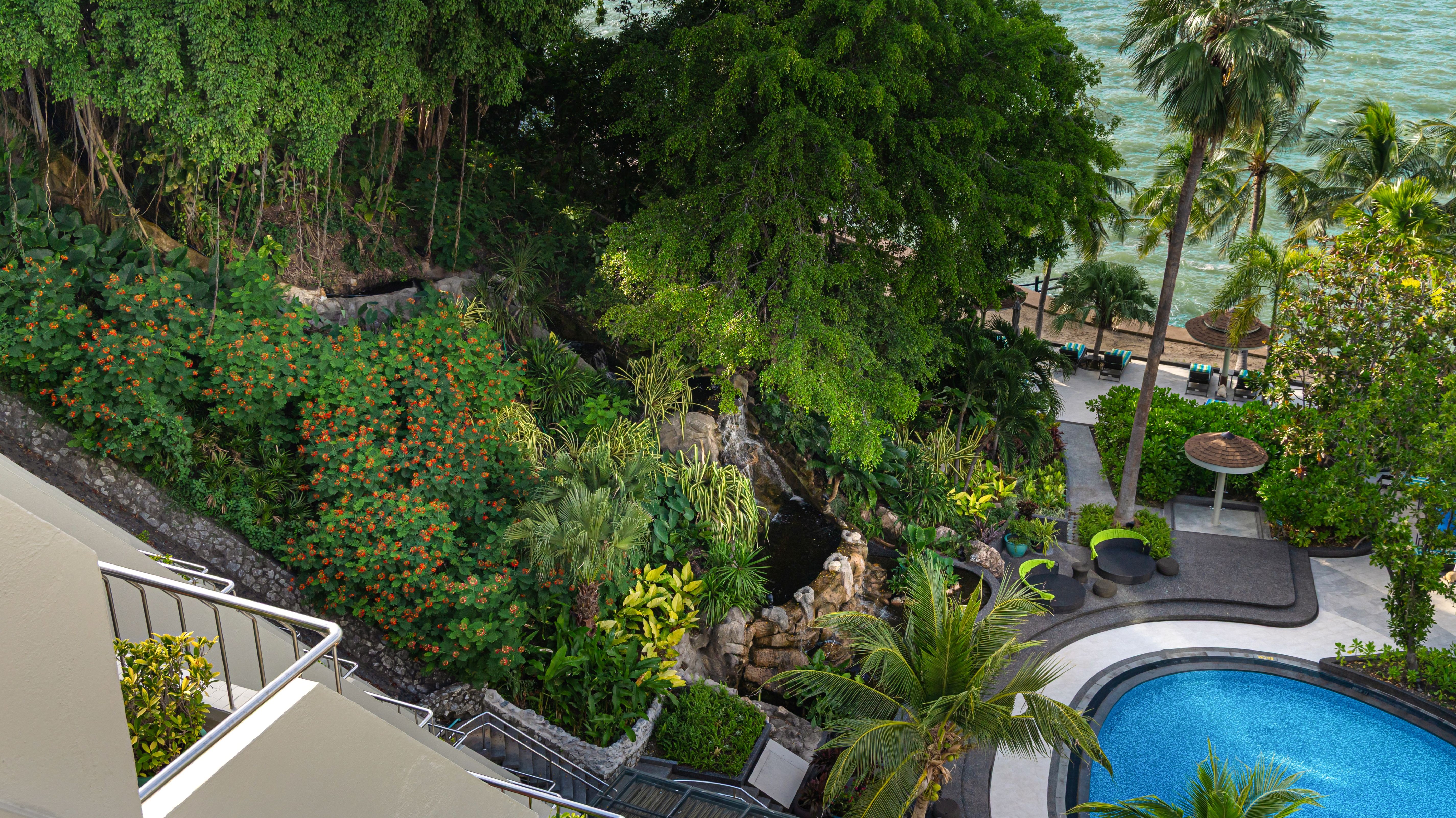 プールサイドガーデン（サンベッド付き）の空撮