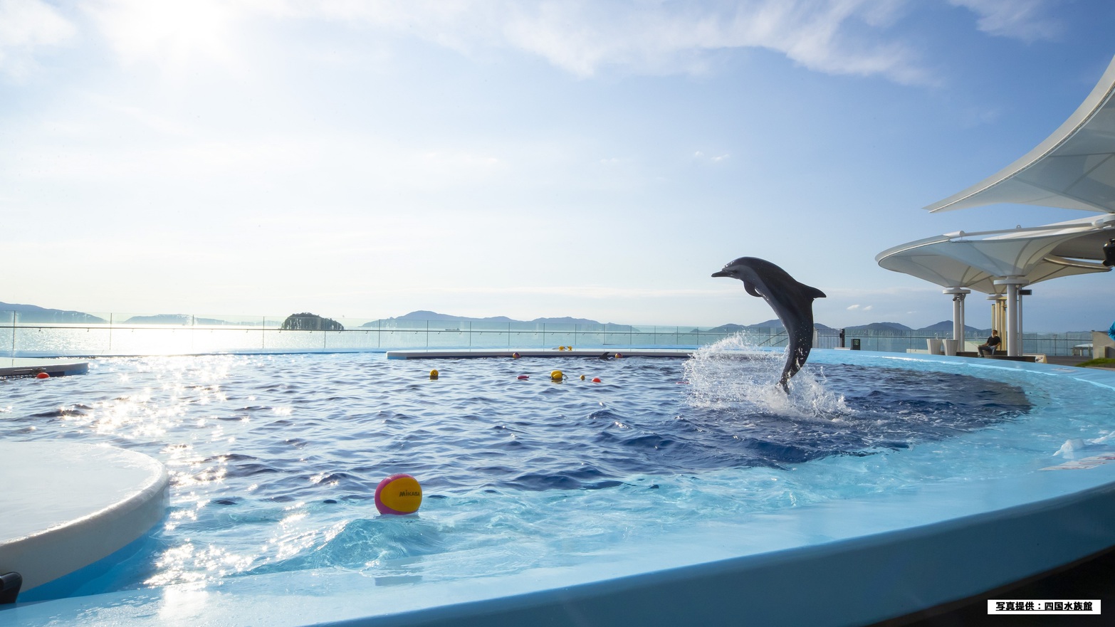 【四国水族館入館券付き】子供もオトナも楽しめる♪1泊2食付き【讃水館】V
