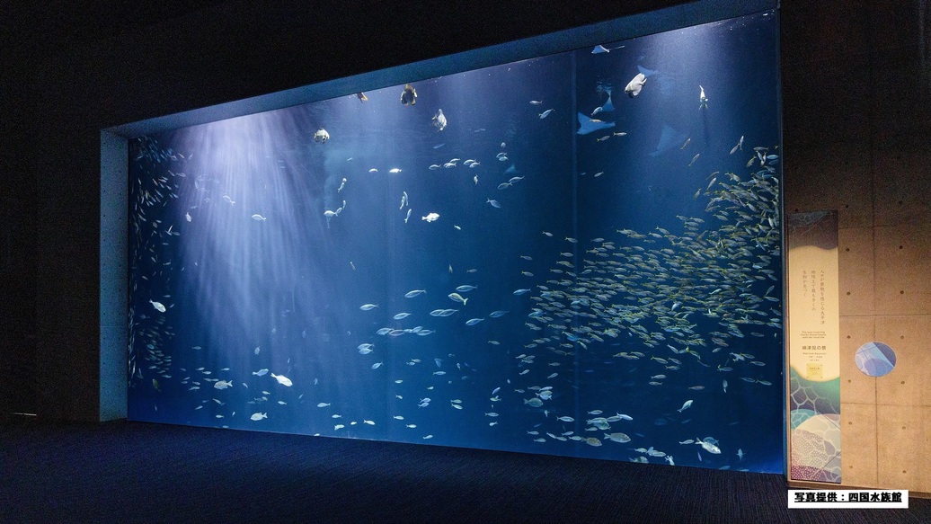 【四国水族館入館券付き】子供もオトナも楽しめる♪1泊2食付き【讃水館】V