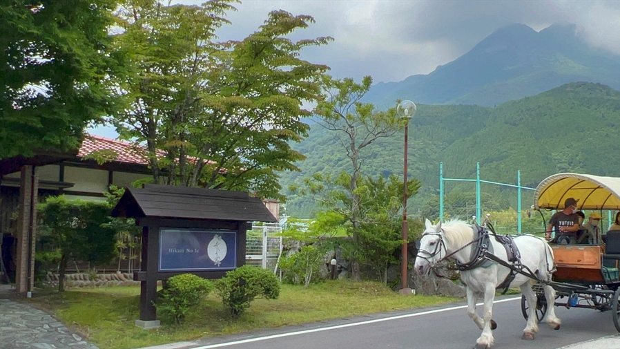 閑静な由布岳麓通りで四季折々の風情を愉しむ　レイトチェックイン　貸切温泉■素泊まりプラン