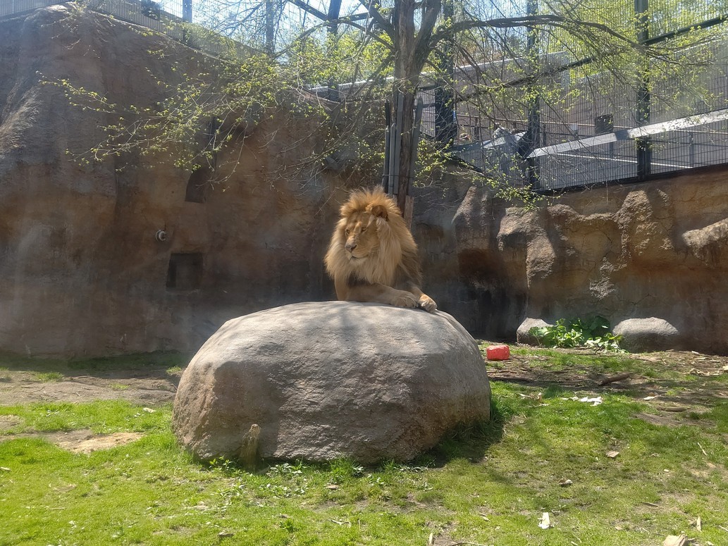 旭山動物園の選べるグッズ付き♪／素泊まり