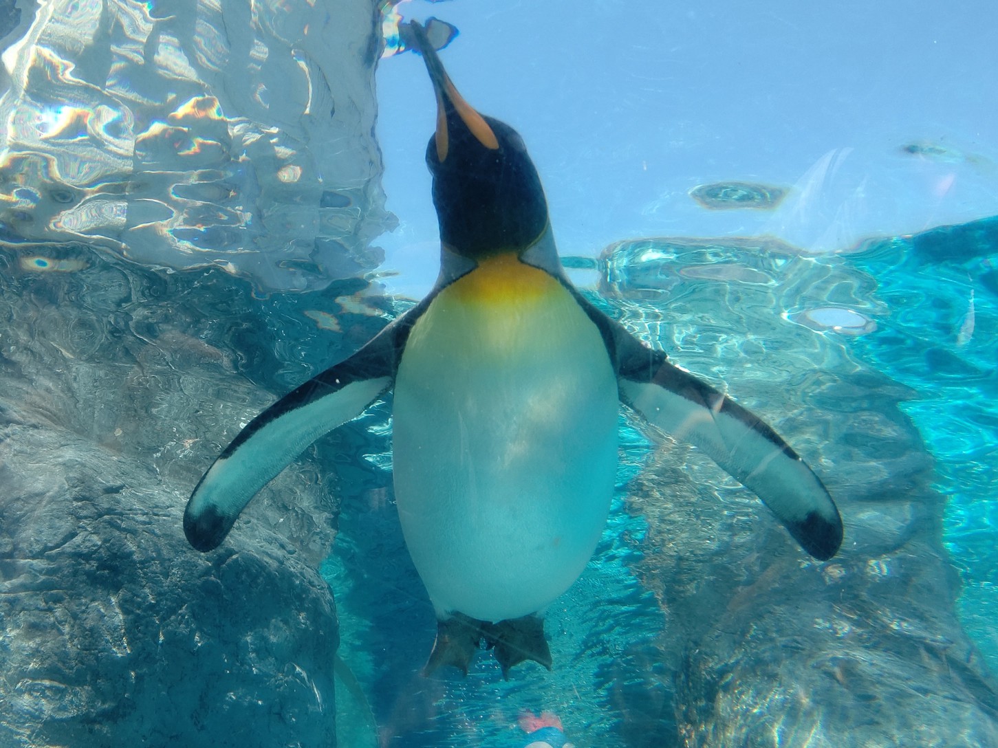 旭山動物園の選べるグッズ付き♪／素泊まり