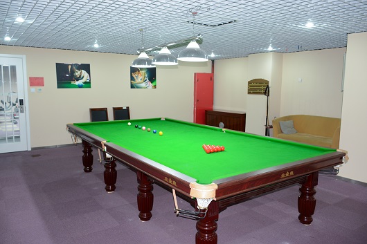 ビリヤードルーム(Billiards Room)