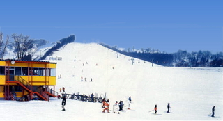 奥入瀬渓流温泉スキー場