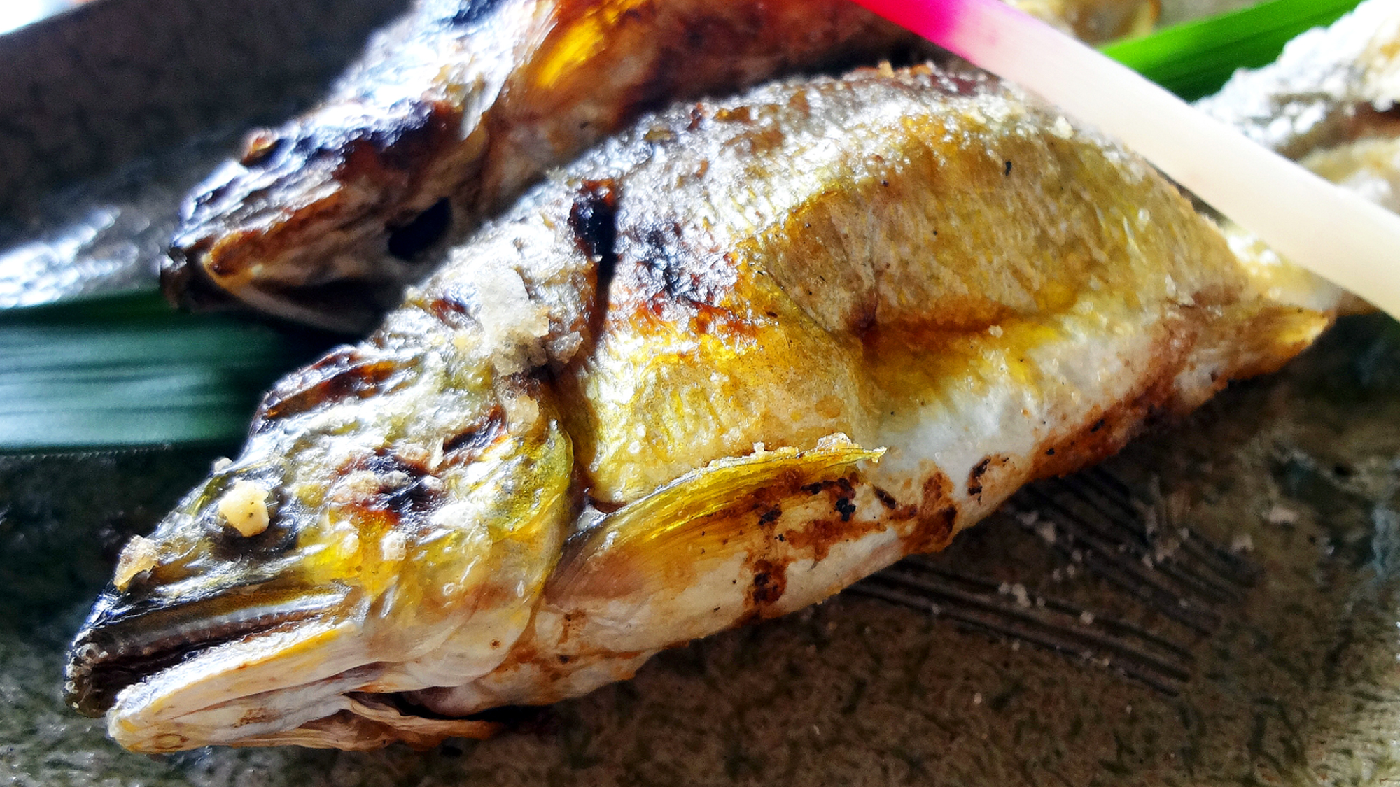 料理長がその日の鮎に一番あった料理をお客様にお出し致します！(※画像はイメージです)