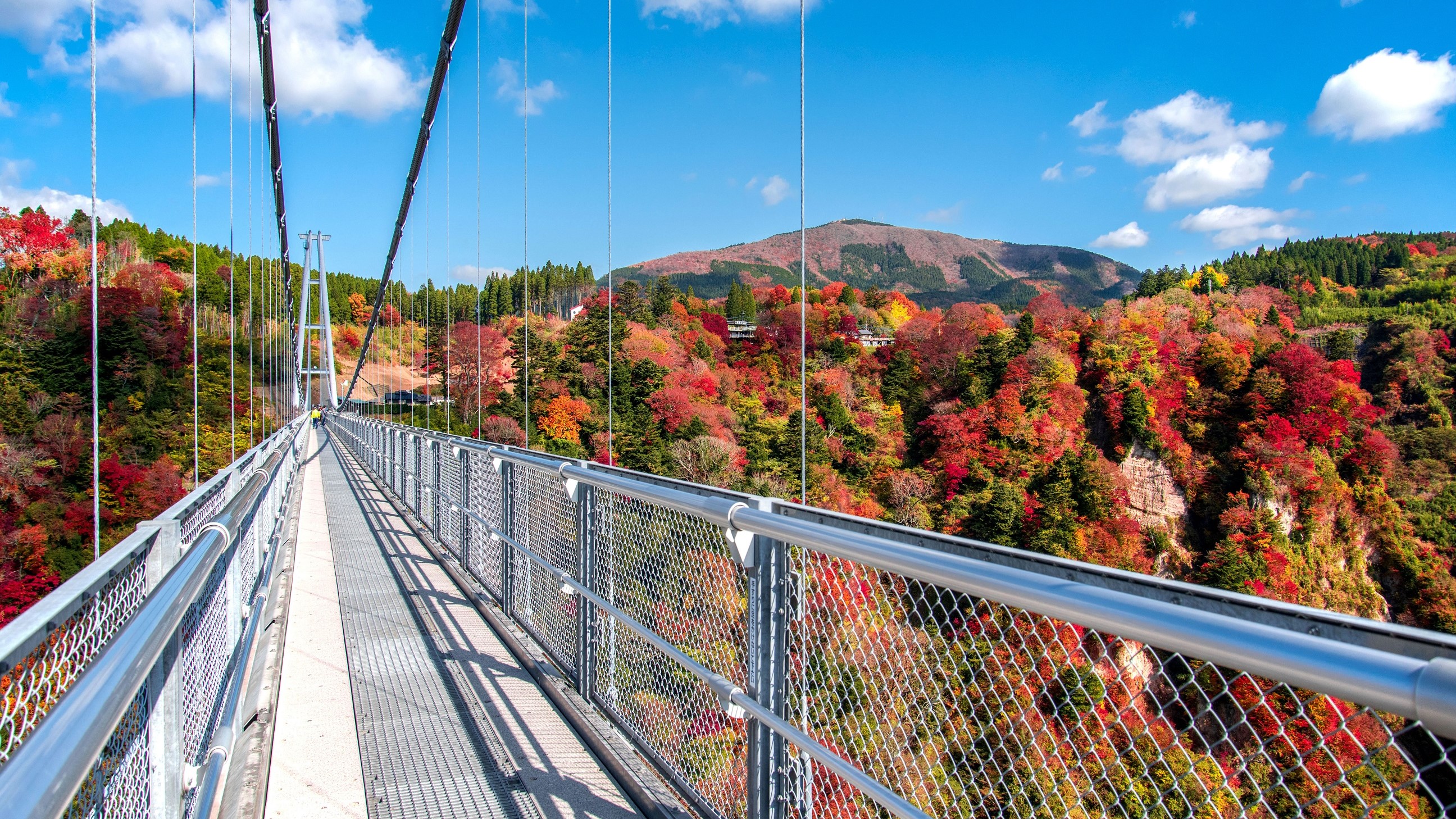 九重夢大吊橋【秋】