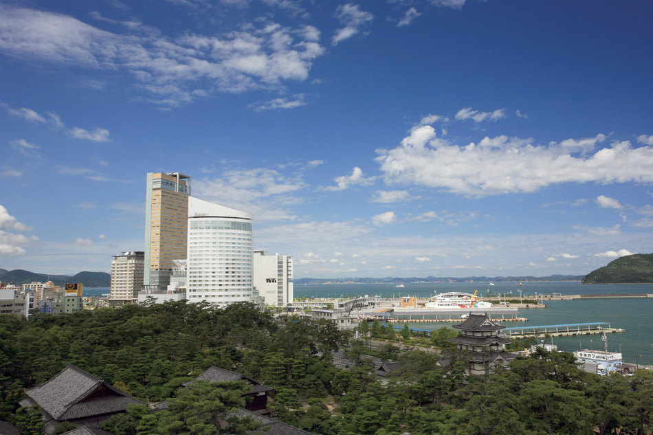 写真1