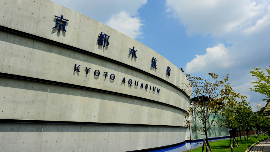 京都水族館入場券付き　宿泊プラン　〜ファミリーやカップルにもおすすめ！〜