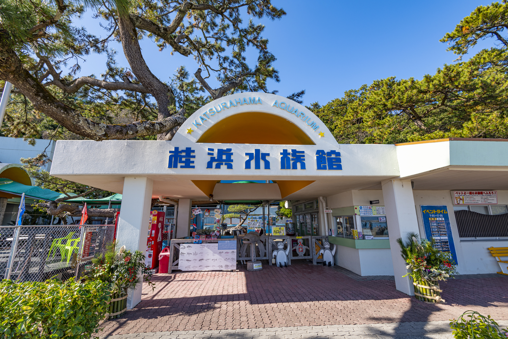 桂浜水族館