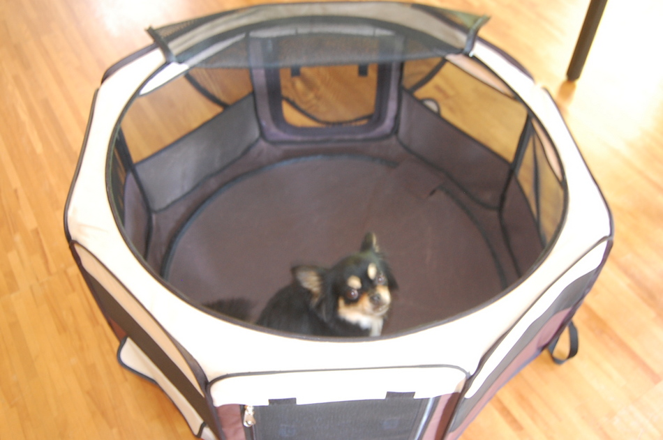 Dog cage