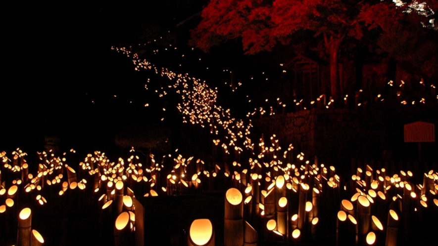 大分県三大竹祭★たけた竹灯篭■竹楽■