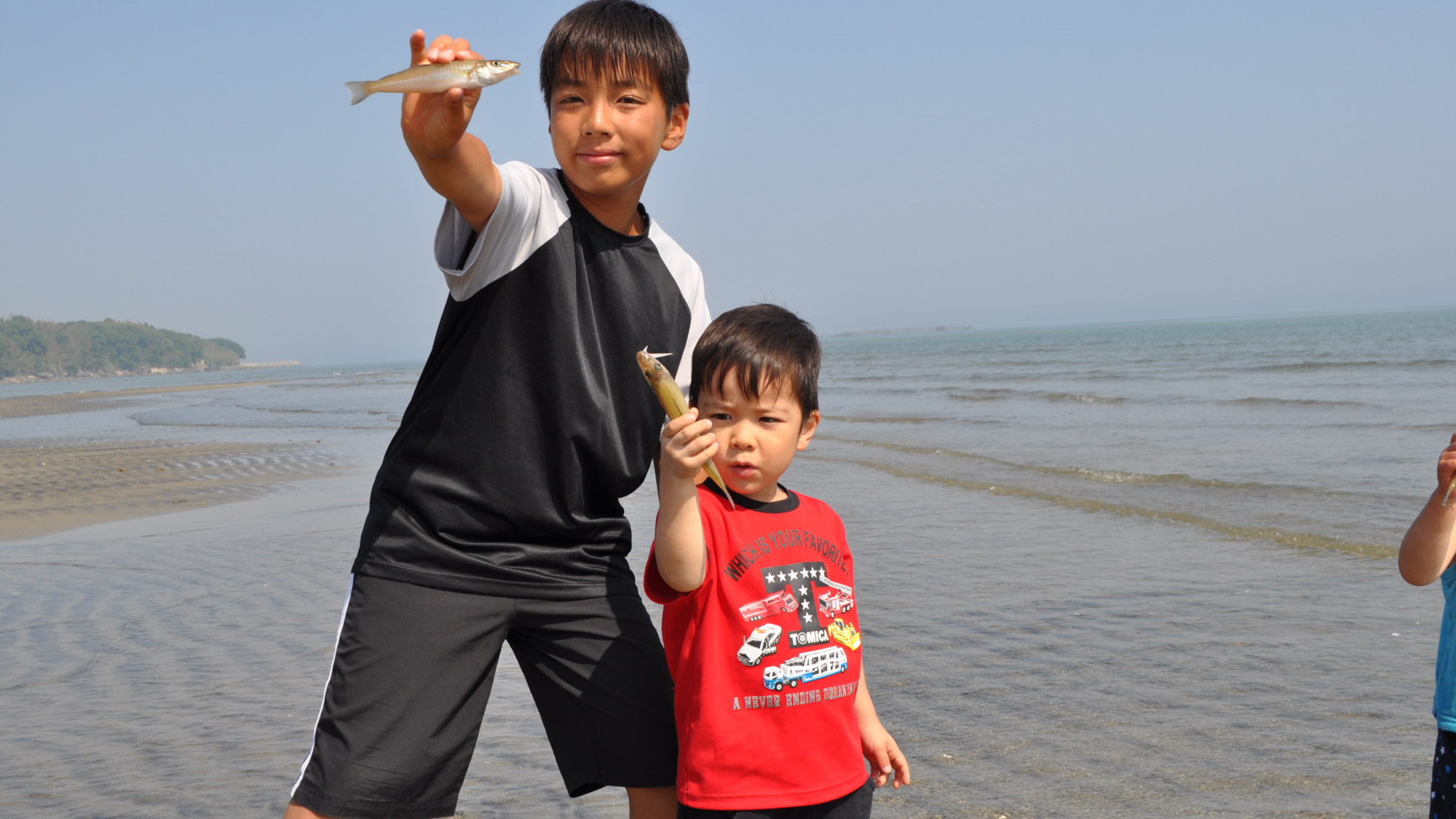 【地引網】こんな魚が獲れました！