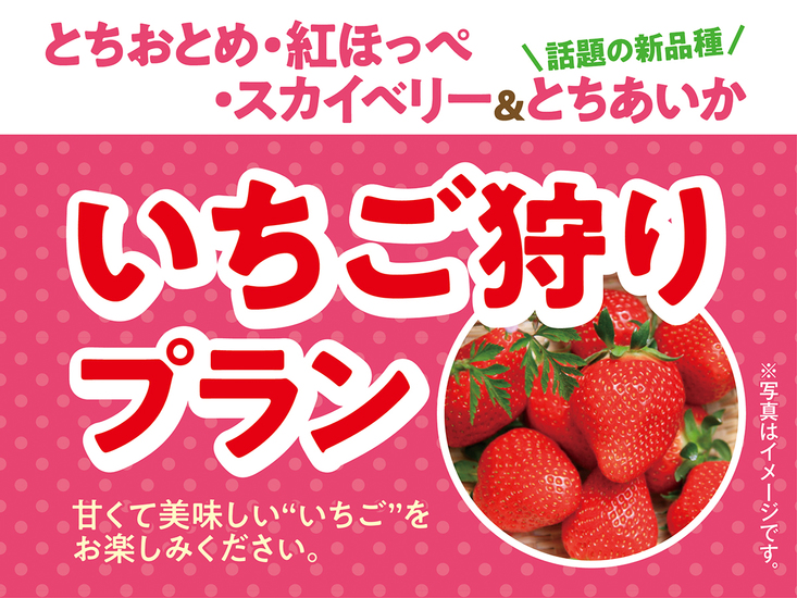 日光ストロベリーパーク入園券付き♪1泊２食付創作和食膳＋ハーフバイキングプラン　4/11〜5/6