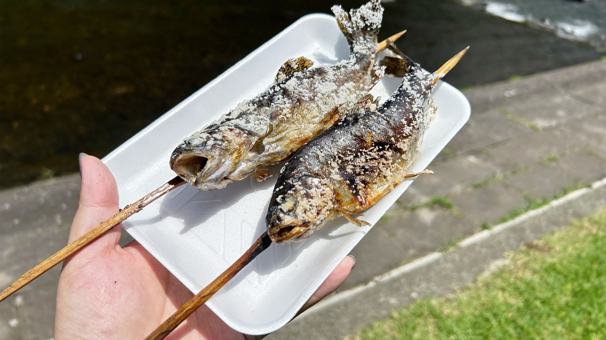 『ニジマスのつかみ取り』割引券付き!　一泊二食付き創作和食膳+ハーフバイキングプラン