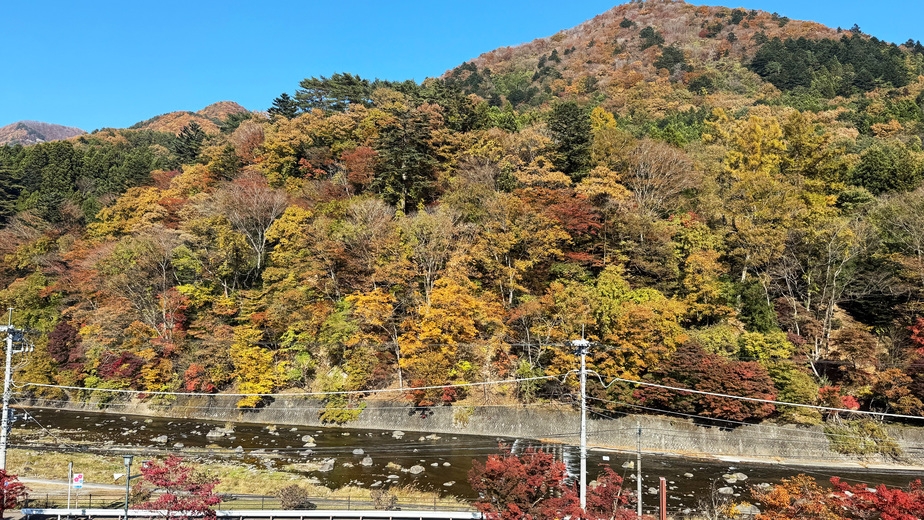 【川側確約！景色良好な客室で箒川を一望】1泊２食付創作和食膳＋ハーフバイキングプラン