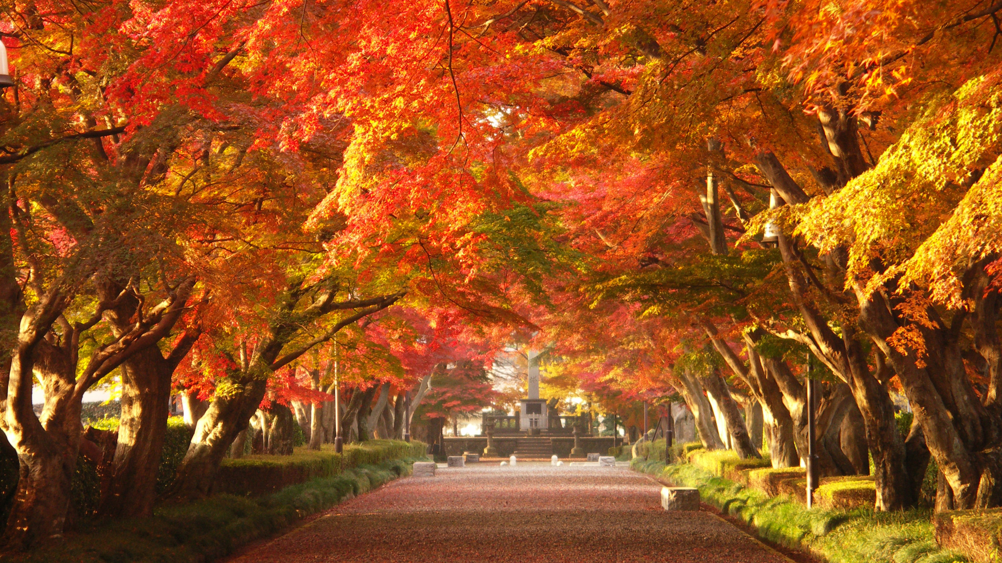 大山参道