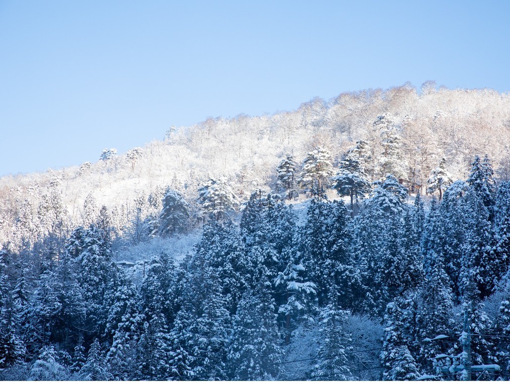 野沢温泉村の高台に佇む眺望が自慢のホテルで冬の野沢温泉を堪能しませんか（朝食付）