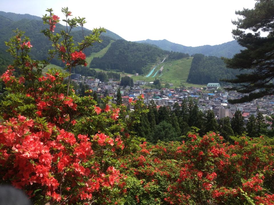 つつじ山