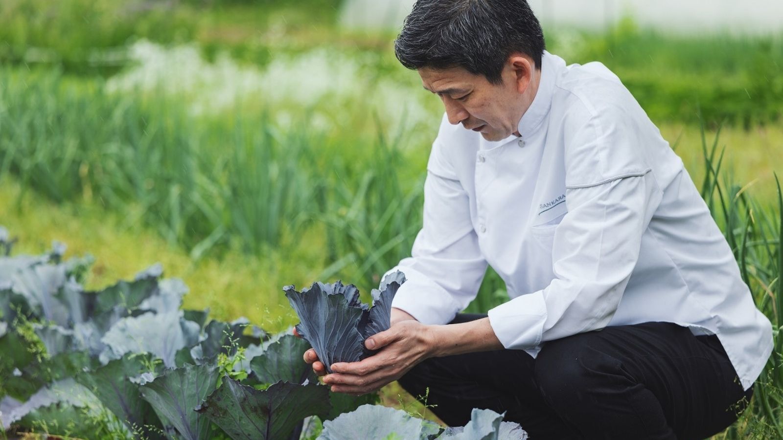 レストラン-okas-