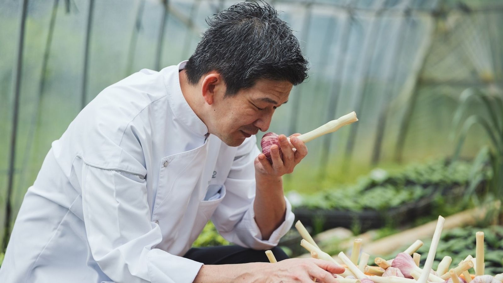 レストラン-okas-　