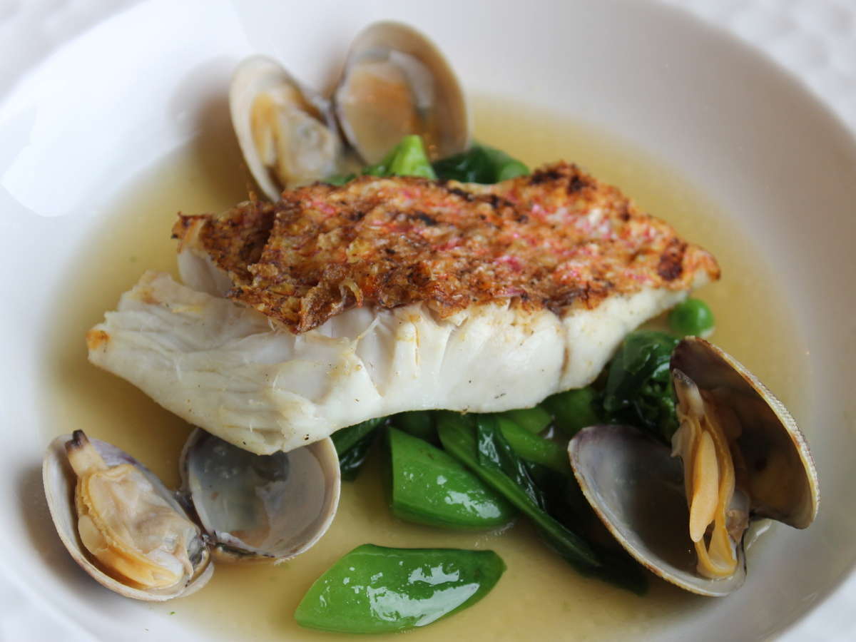 ayana（イメージ）