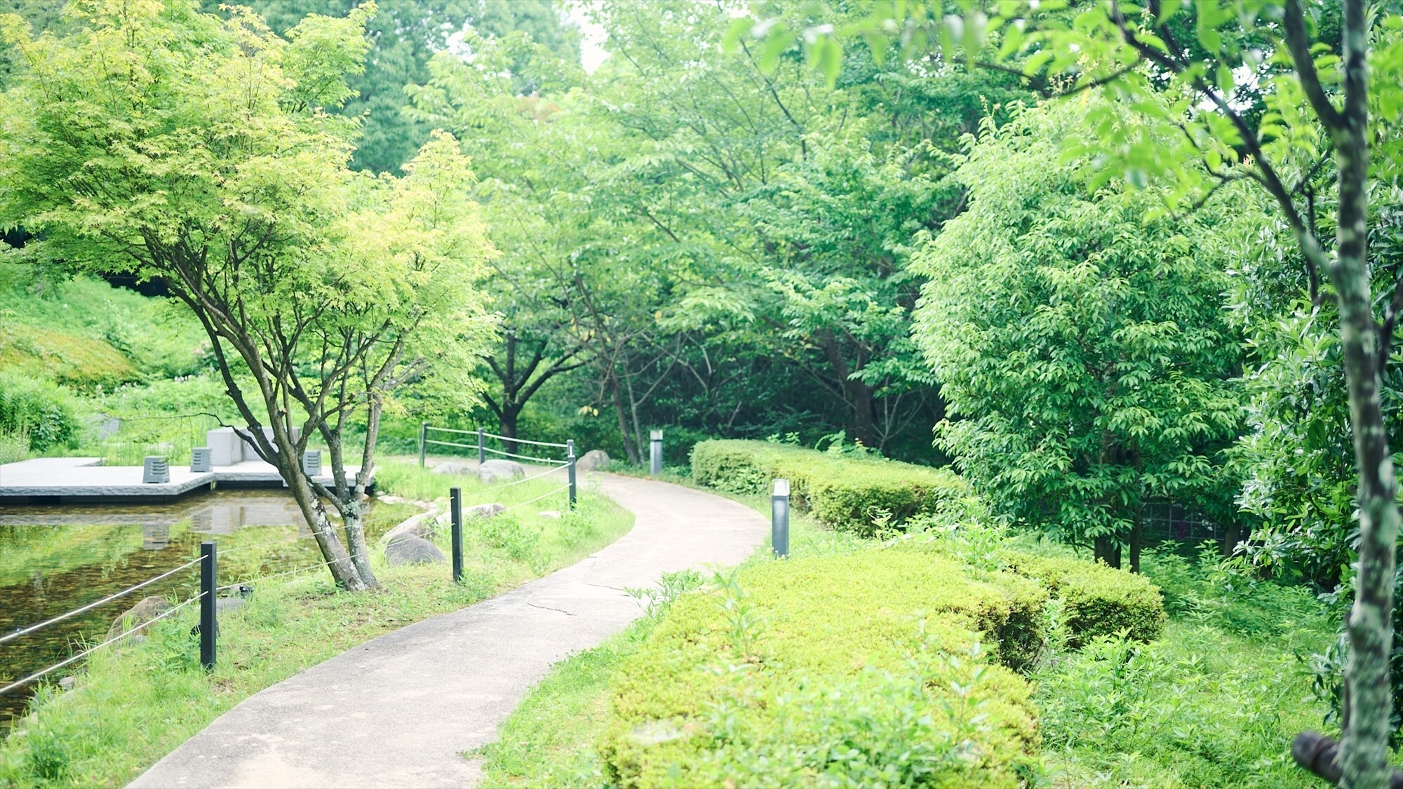 有馬温泉　有馬六彩 - 写真 171