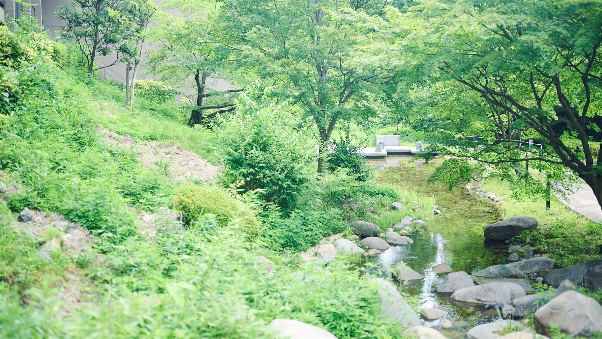 有馬温泉　有馬六彩 - 写真 172