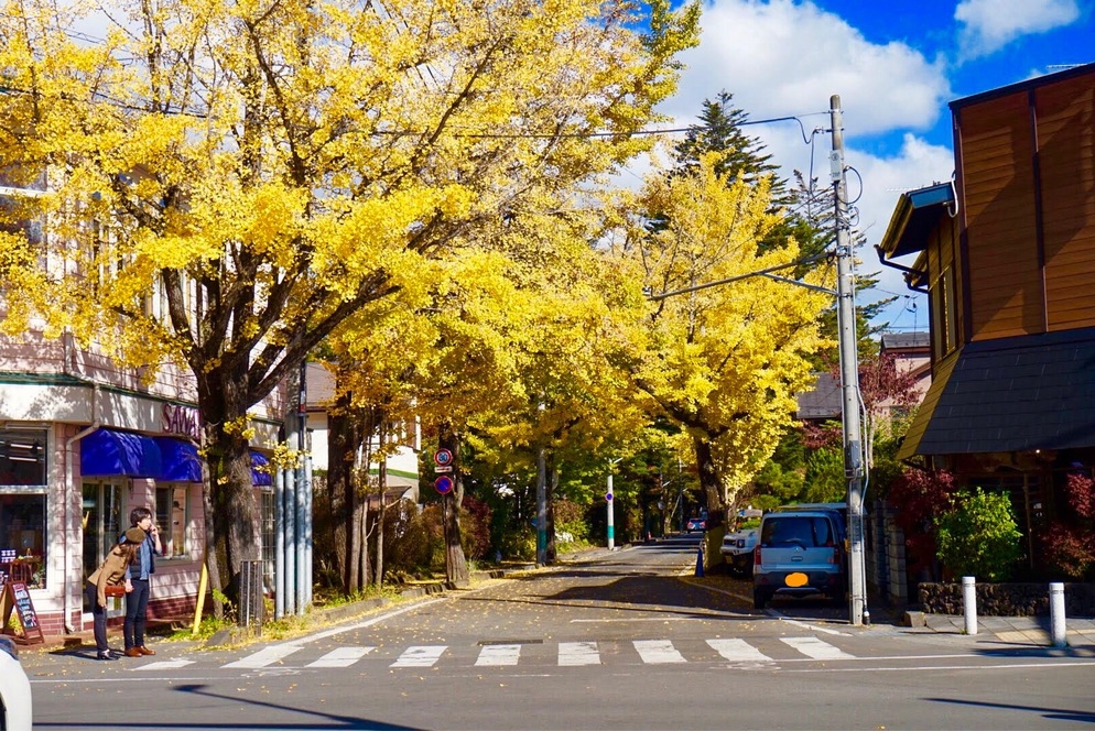 1日2組限定！紅葉狩りへ行こう☆レンタル自転車付きプラン♪