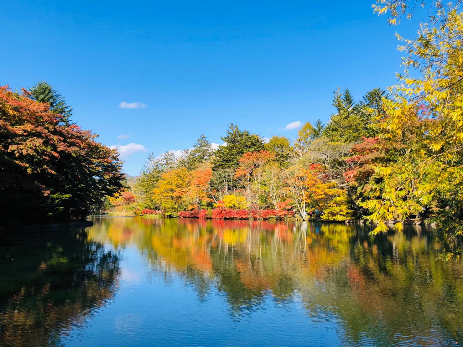 雲場池紅葉