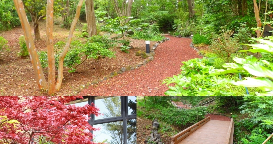  ■一泊朝食■温泉＆寛ぎのお部屋で伊豆を満喫